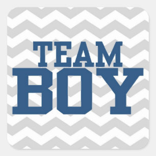 GENDER REVEAL Sticker
