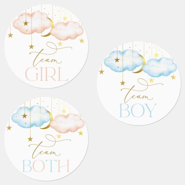Gender Reveal Stickers, Team Boy, Team Girl (Group)
