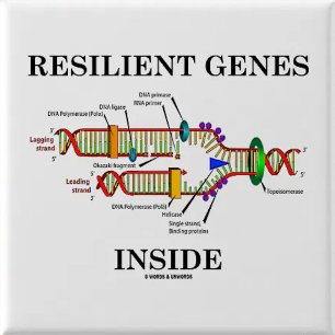 Gene Expression A Part Of Life (DNA Replication) 2 Inch Round Button