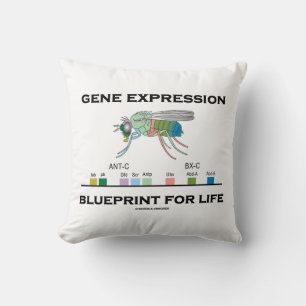 Gene Expression Blueprint For Life Homeobox Genes Throw Pillow