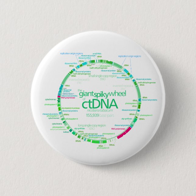 Gene Map of Tobacco Chloroplast DNA Chart 2 Inch Round Button (Front)