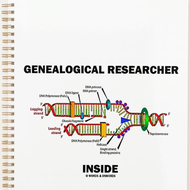 Genealogical Researcher Inside DNA Replication Planner (DNA attitude planner for any genealogist or anyone engaged in genealogical research)