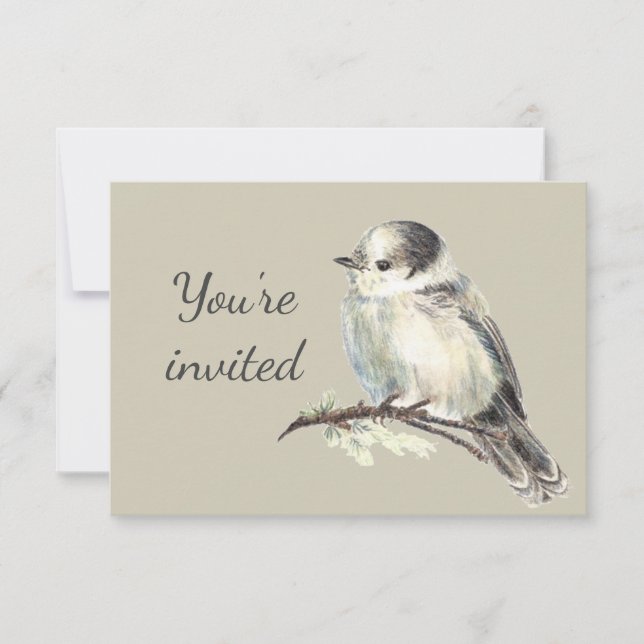 General Invite Custom Grey Grey Jay Canada's Bird (Front)