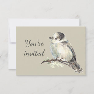 General Invite Custom Grey Grey Jay Canada's Bird