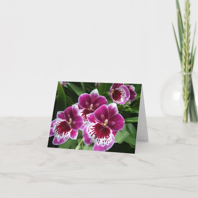 General purpose floral notecard - Raspberry Orchid (Front)
