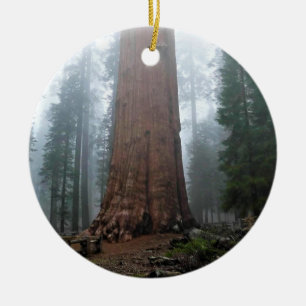 General Sherman Tree, Sequoia, CA Ceramic Ornament