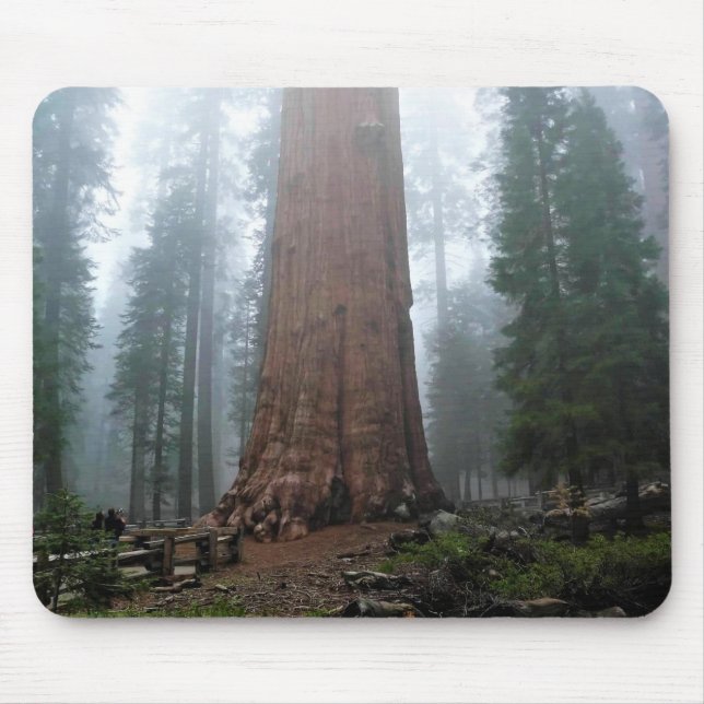 General Sherman Tree, Sequoia, CA Mouse Pad (Front)