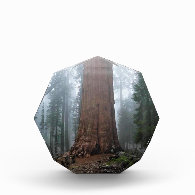 General Sherman Tree, Sequoia, CA Photo Block (Front)