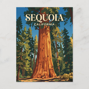 General Sherman Tree, Sequoia National Park USA Postcard