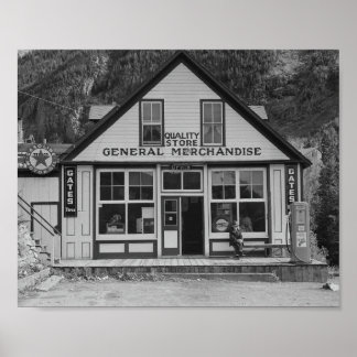 General store. Ophir, Colorado Sept. 1940 Poster