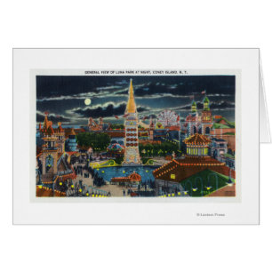General View of Luna Park at Night
