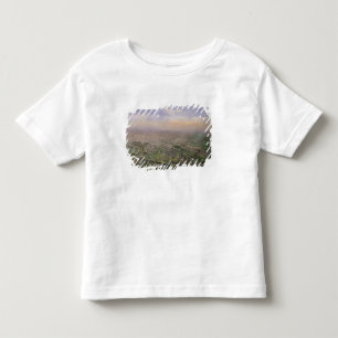 General view of Paris from a hot-air balloon Toddler T-shirt