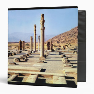 General view of the Apadana  founded c.518 BC Binder