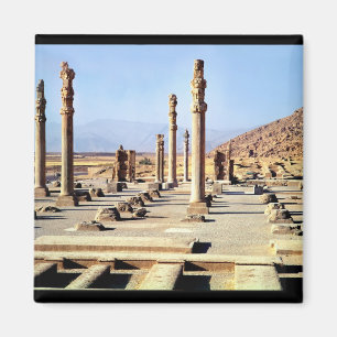 General view of the Apadana founded c.518 BC Magnet
