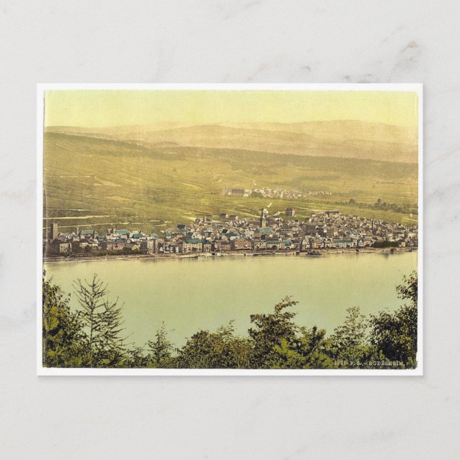 General view, Rudesheim, the Rhine, Germany classi Postcard (Front)