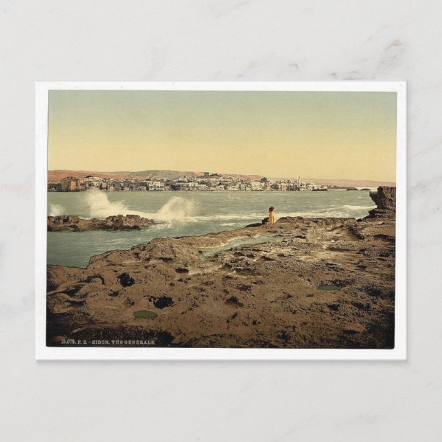 General view, Sidon, Holy Land, (i.e. Lebanon) cla Postcard (Front)