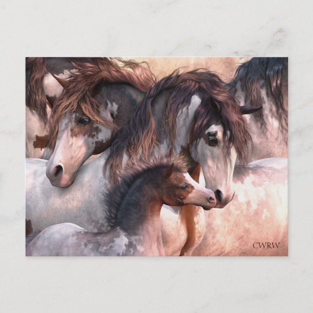 Generations Postcard (Front)