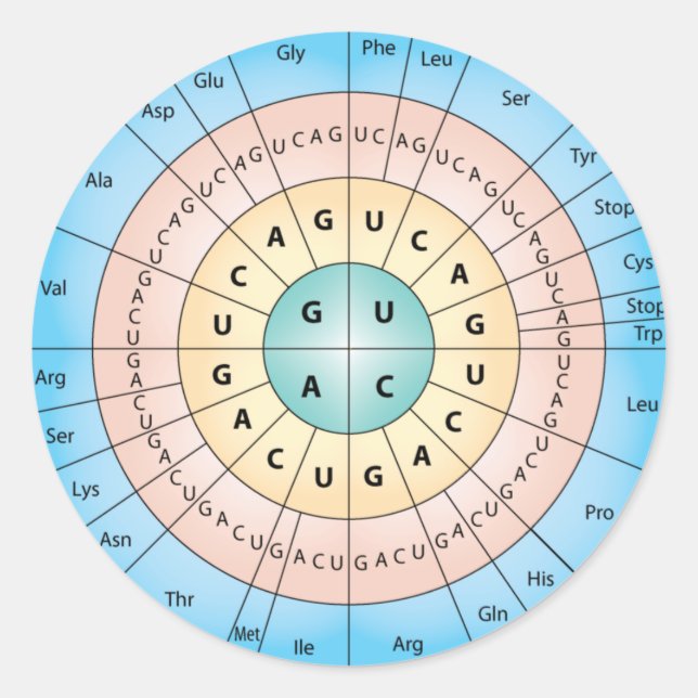 Genetic Code Classic Round Sticker (Front)