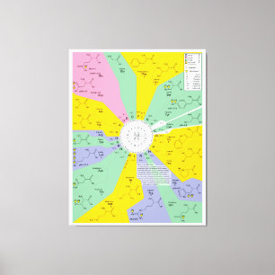 Genetic Code Diagram Showing Amino Acid Residues Canvas Print