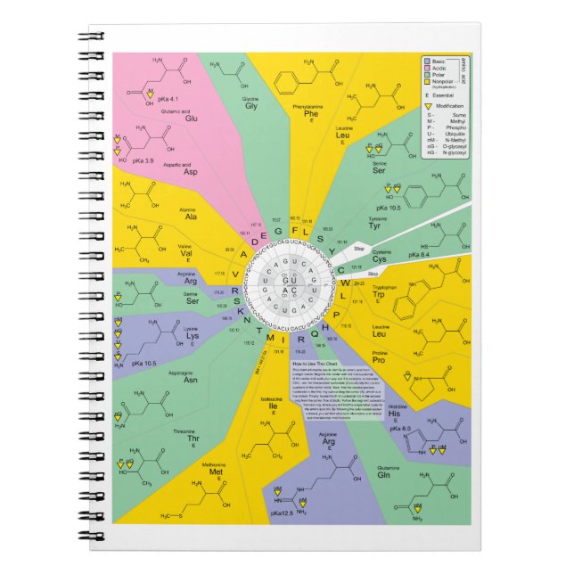 Genetic Code Diagram Showing Amino Acid Residues Notebook (Front)