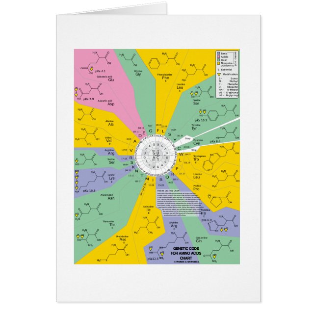 Genetic Code For Amino Acids (Chart Wheel) (Front)