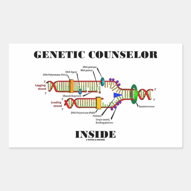 Genetic Counsellor Inside (DNA Replication) Sticker (Front)