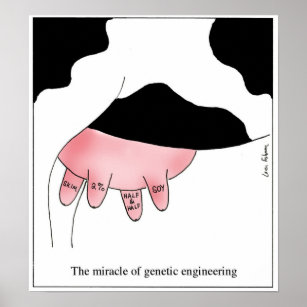 Genetic Engineering Cow GMO Udder Cartoon Poster