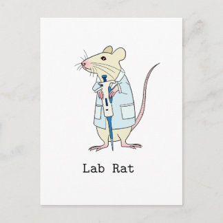 Genetics science lab rat postcard