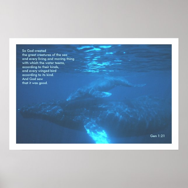 Genisis 1:21  WHALE POSTER PRINT (Front)