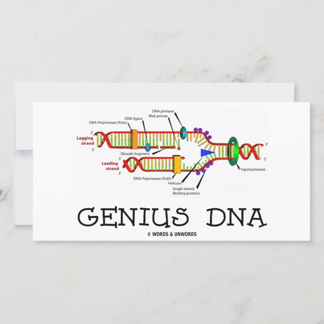 Genius DNA (DNA Replication Humour) (Front)