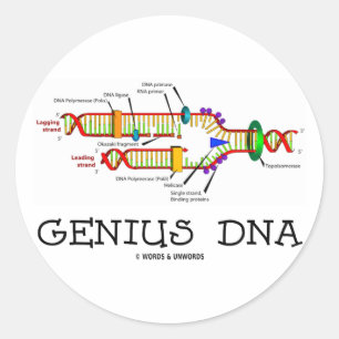 Genius DNA (DNA Replication Humour) Classic Round Sticker