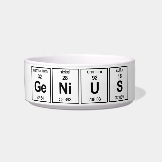GeNiUS Periodic Table Bowl (Front)