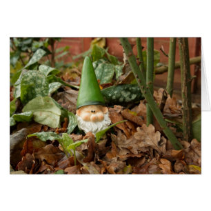 Génome du jardin