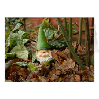 Génome du jardin