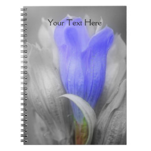 Gentian Flower In Black And White Notebook