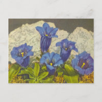 Gentian Flower