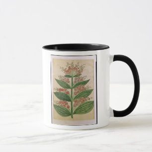 Gentian with imaginary flowers mug