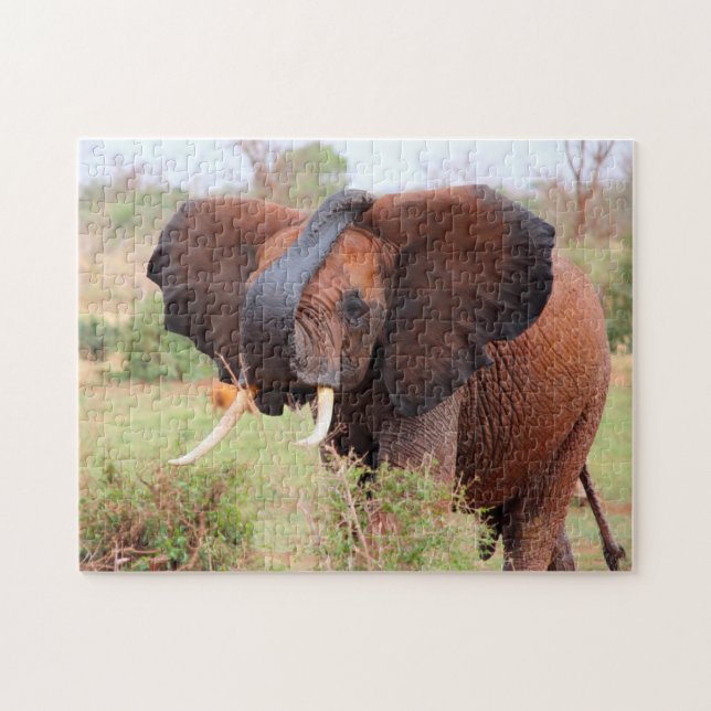 Gentle Beasts of the Plains.Elephants Jigsaw Puzzle (Horizontal)