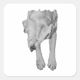 Gentle Dog, Cozy Season Square Sticker
