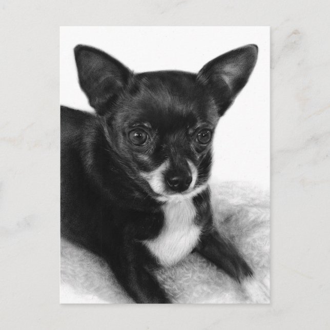 Gentle Eyes - Hand Painted Chihuahua Art Postcard (Front)