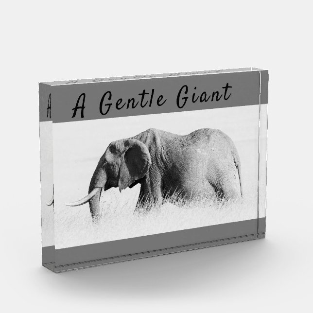 Gentle Giant Elephant high key photo with text Block (Left)