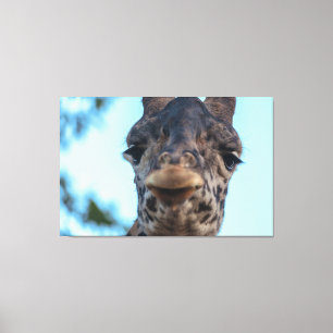 Gentle Giraffe  Canvas Print
