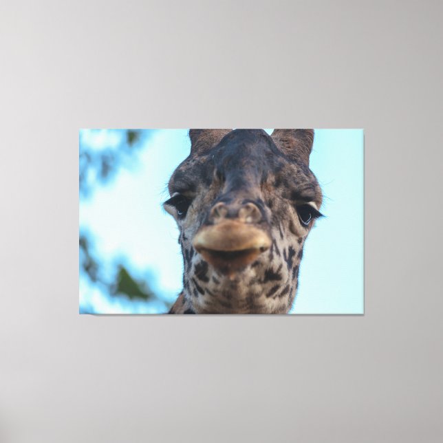 Gentle Giraffe  Canvas Print (Front)