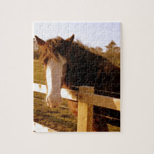 Gentle Horse White Blaze Jigsaw Puzzle