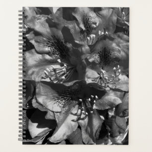 Gentle Lie Planner