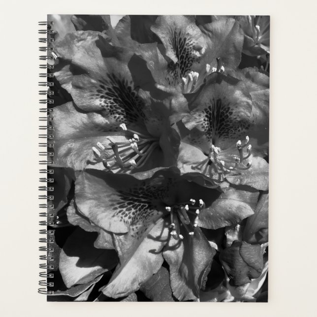 Gentle Lie Planner (Front)