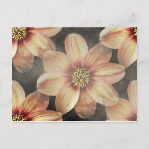 Gentle Pastel Floral Cards