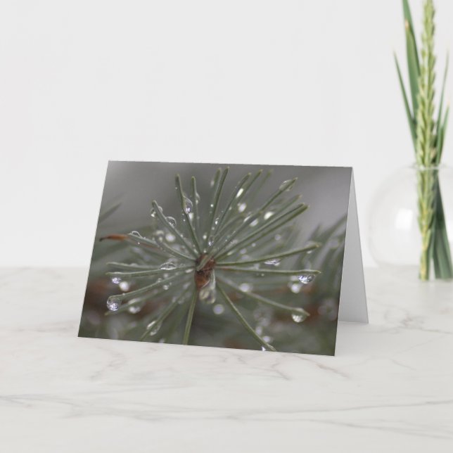 Gentle Rain Pine Card (Front)