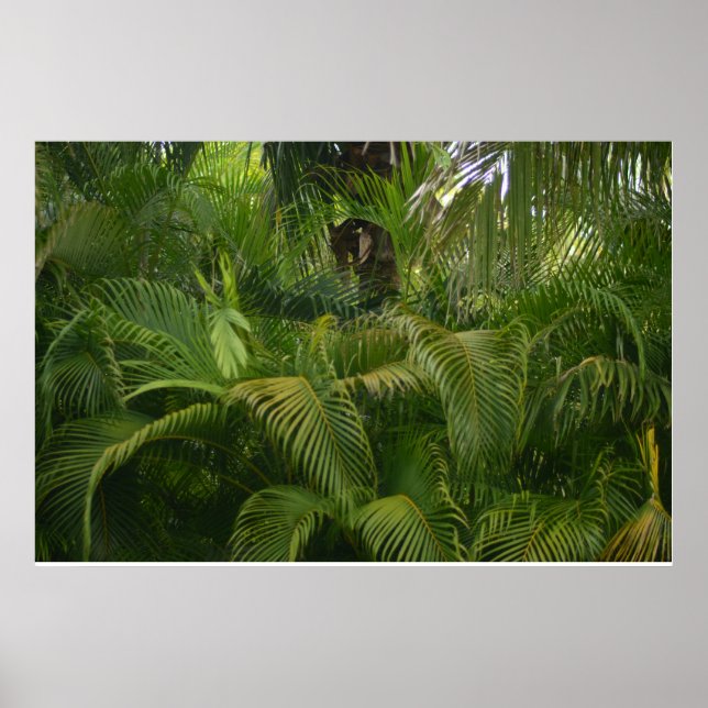 Gentle Reach Poster (Front)