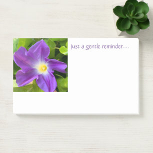 Gentle reminder post-it notes